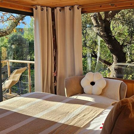 Caban'Ao Bed & Breakfast Saint-Just-et-Vacquieres Exterior photo